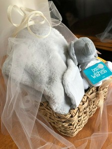6 month baby gift basket