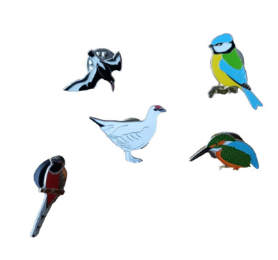 Birds RSPB Pin Badge 5 Bundle Lot Blue Tit Kingfisher Bullfinch Ptarmigan Tern