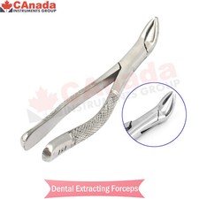 Extracting Forceps  151 Surgical Dental Instruments