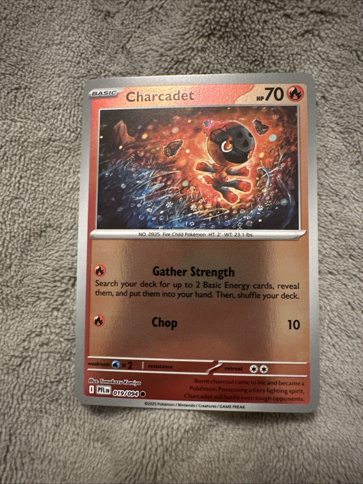 Reverse Holo Charcadet 019/094 Common ME02: Phantasmal Flames M/NM Pokemon
