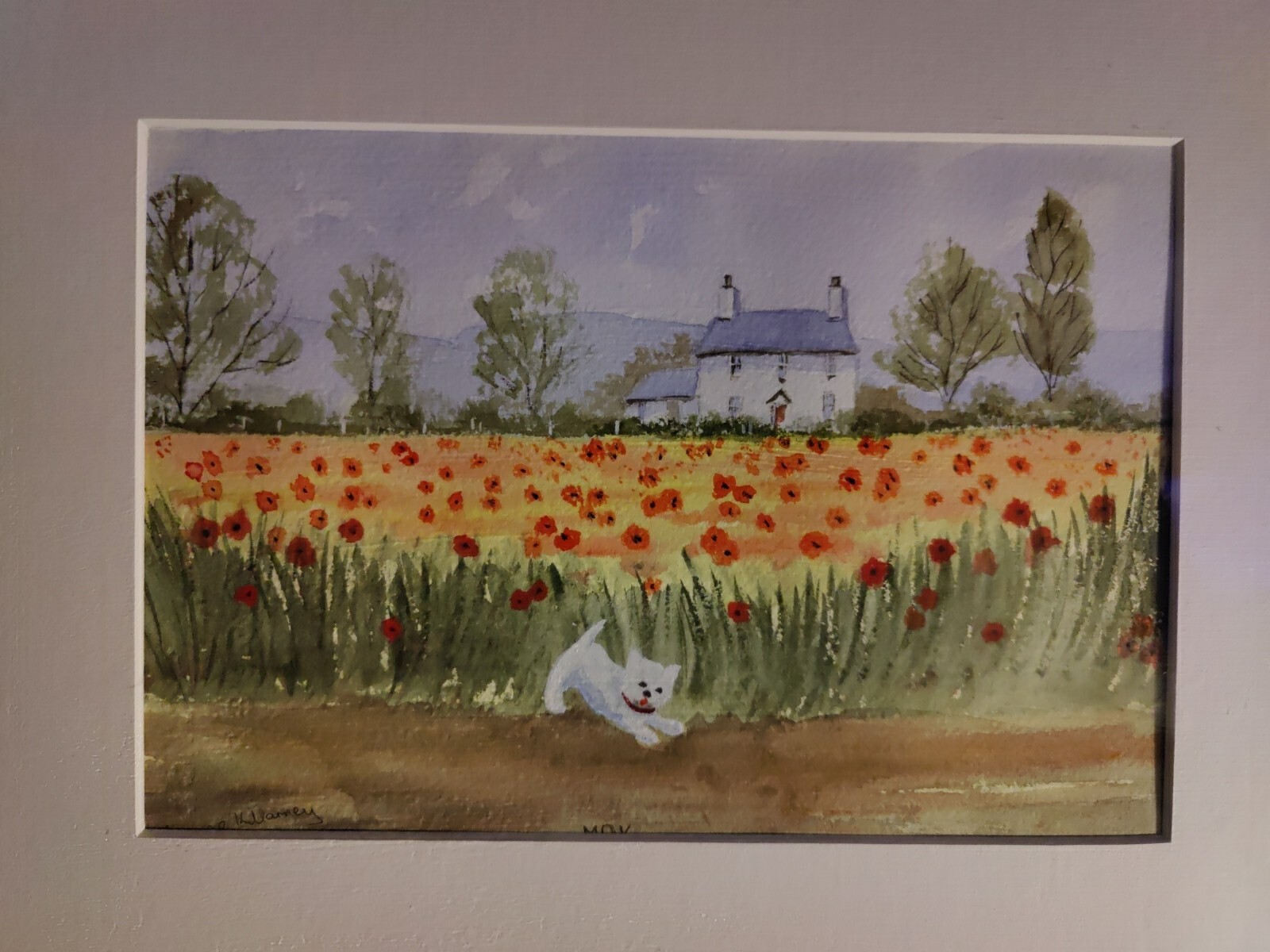Bild 2 von 8