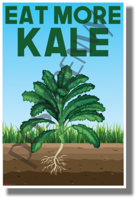 Eat More Kale - NEW Healthy Snacks and Nutrition Poster