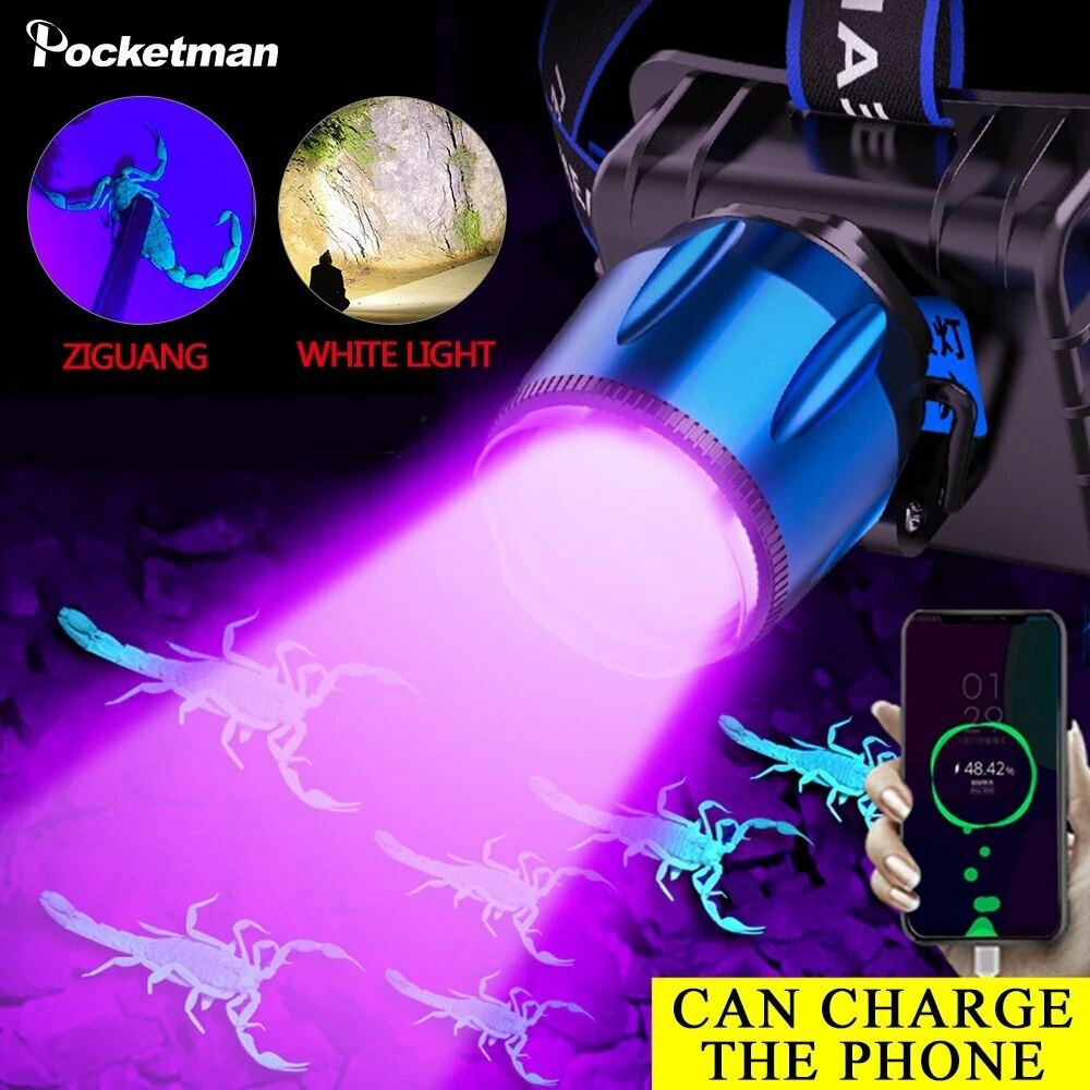 Uv on sale head torch