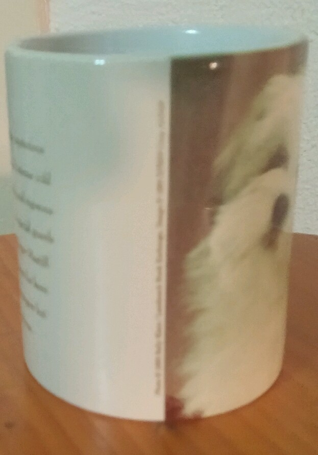 Picture 4 of 6