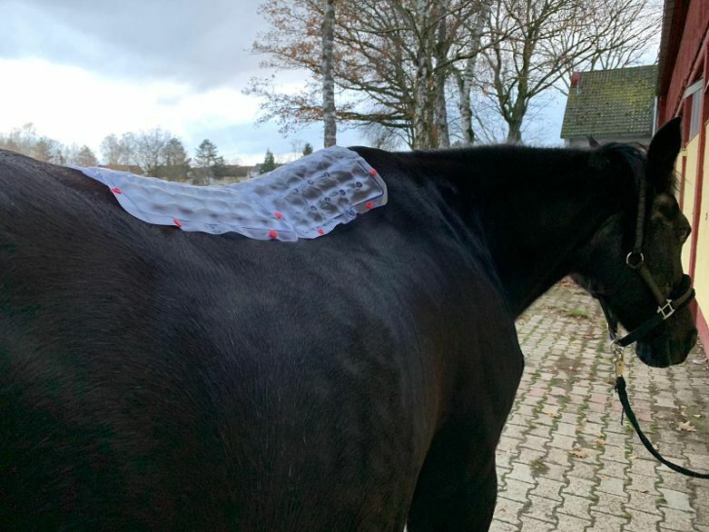 Wärmekissen für Pferd (GEL) - ohne,oder mit Druckknöpfen(beliebig vergrößerbar)