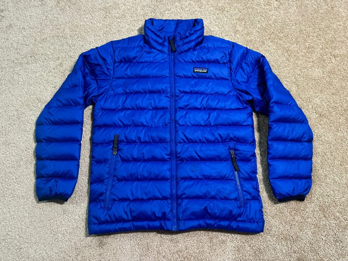 Ebay patagonia sales down sweater