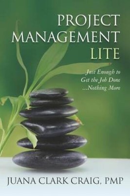 Project Management Lite: Just Enough to Get the Job Done - VERY GOOD