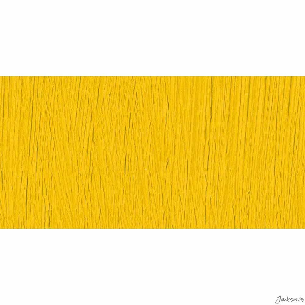 Jackson's : Artist Oil Paint : 60ml : Cadmium Yellow Genuine (Professional Us...