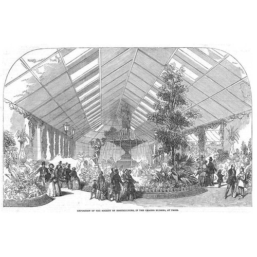 PARIS Exposition of Horticultural Society in Champs Elysees - Antique Print 1852