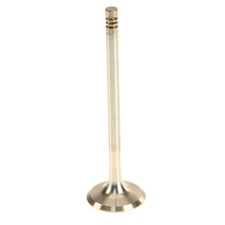 TRW Exhaust Valve 111209