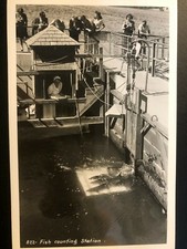 Antique "FISH COUNTING STATION" RPPC Postcard Made in USA
