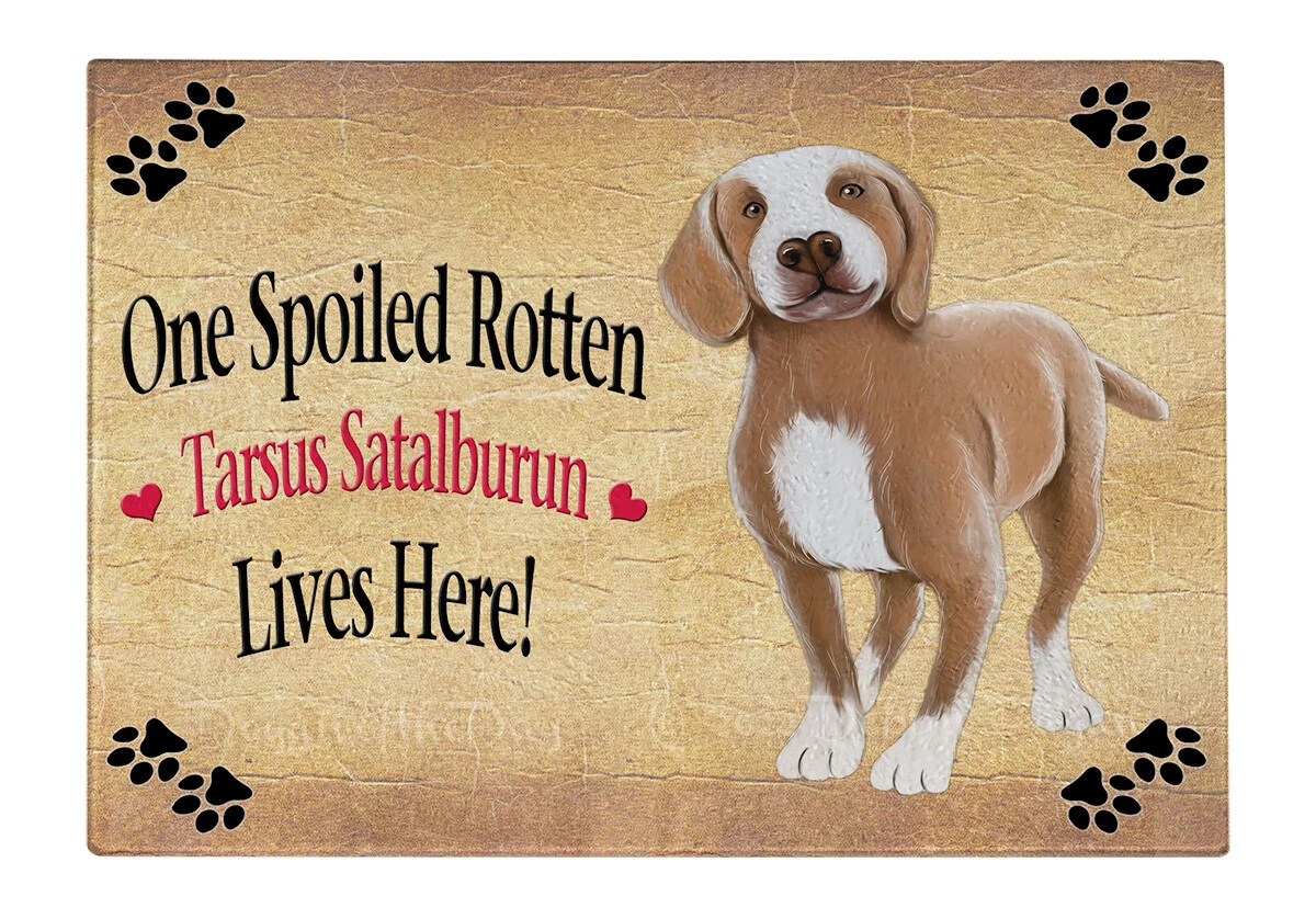 Catalburun dog best sale