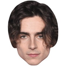 Timothee Chalamet Long Hair Big Head. Larger than life mask.