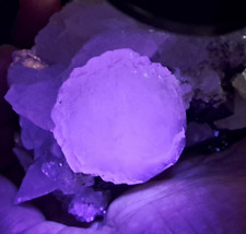 Video! AAA Manganocalcit auf Sphalerit, UV, 11x7x6cm, ca 480g, Trepca #168