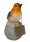 Foto 10 di 12