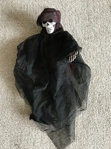 Skeleton Party Decoration