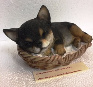 ebay chihuahua puppies
