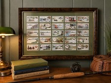 Vintage Framed Angling Cigarette Card Display Freshwater Fish Wall Art Fishing