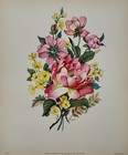 Vintage Carle J Blenner Floral Print Pink Yellow Flowers 1947 10x12