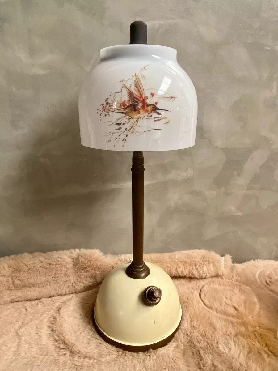Tilley 2024 lamp globe