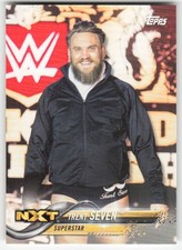 2018 Topps WWE Then Now Forever Trent Seven #181