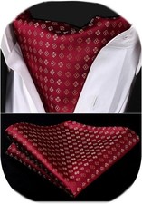 HISDERN Herren Krawattenschal Floral Paisley Ascot Krawatte Hochzeit Business