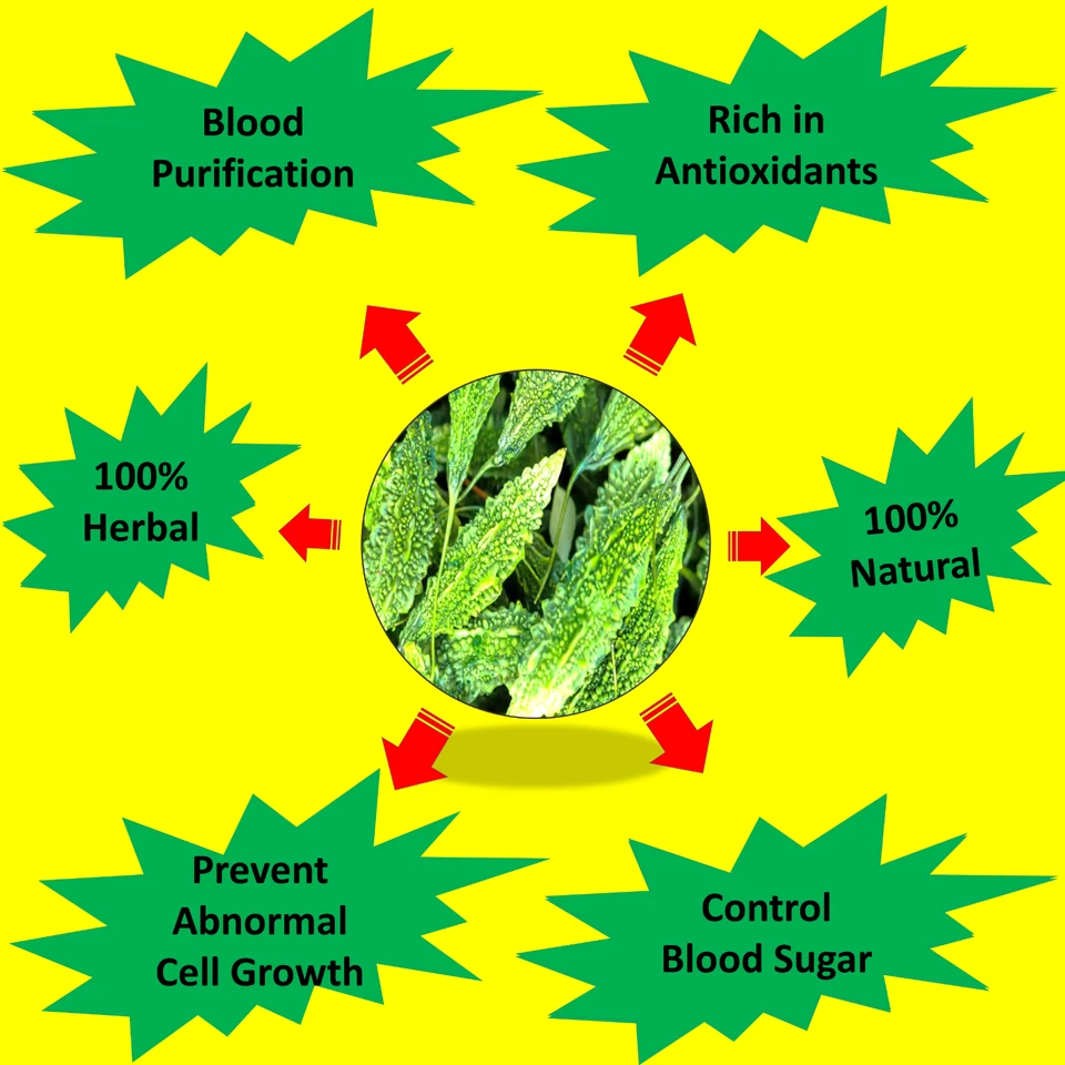 Bolsas de té de calabaza amarga/melón amargo orgánico a base de hierbas control de azúcar en la sangre diabético Foto 2 de 4