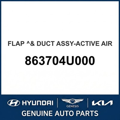 2011-2013 Kia Optima Hybrid Klappe & Kanal Baugruppe-Active Air OEM Neu 86370...