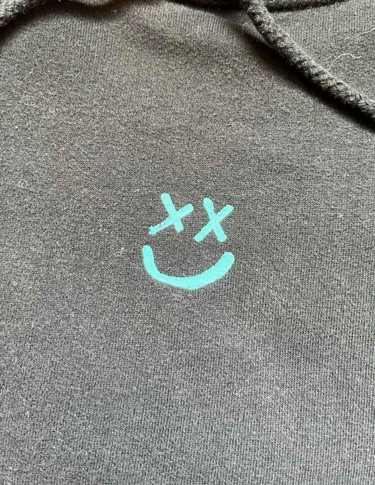 Louis Tomlinson Exclusive Merch 2020 Walls Hoodie Medium - Image 4 of 4