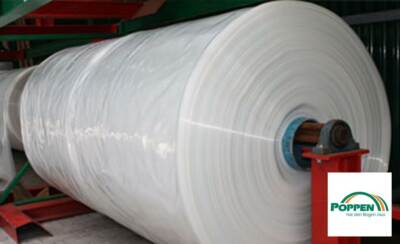 Gewächshausfolie UV 5, Breite 10 m, Treibhausfolie Frühbeet Gewächshaus