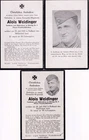 WWII German Death Card Sterbebild Alois Weidinger KIA Russia 1943 Grenadier