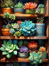 Diamond Art Kits for Adults Plant 11.8x15.7in 30x40cm , Succulent-Round Dril