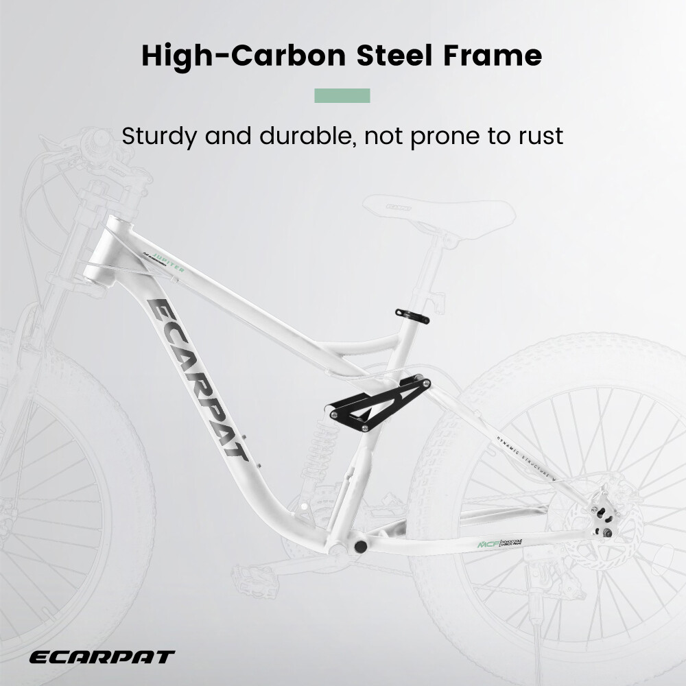 26'' Fat Tire MTB Bike, Full-Suspension 21 Speeds Drivetrain with