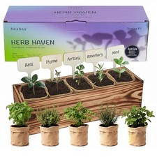 5 Herb Garden Kit with Wooden - Including Basil, Thyme, Parsley, Rosemary, Mi...