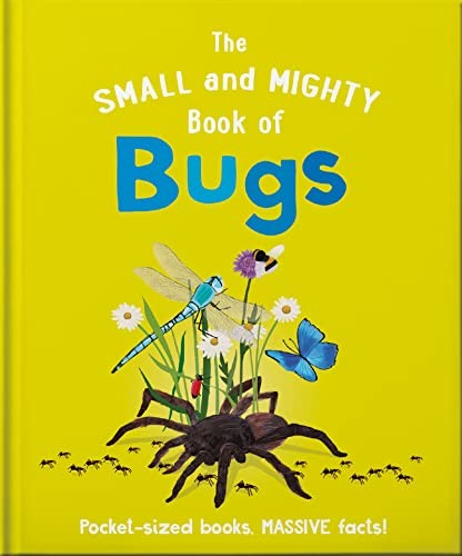 Small And Mighty Book Of Bugs - Image 2