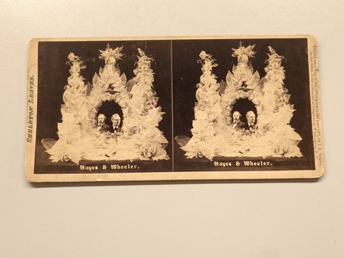 President Rutherford Hayes Wheeler Skeleton Leaves I.L. Rogers Stereoview Photo - Picture 3 of 10