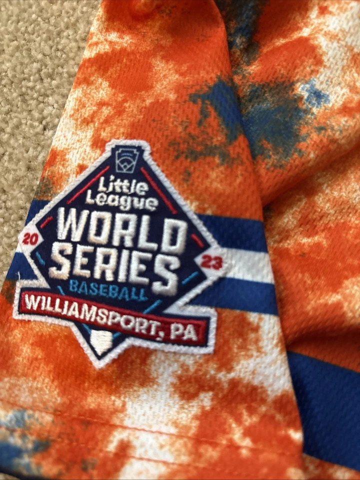 Camiseta Adidas 2024 LLWS Great Lakes juvenil grande Foto 4 de 4