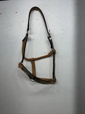 New Light Oil Genuine Leather Horse Halter With Metal Silver Plate W-21