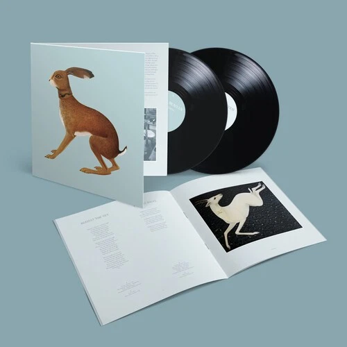 Vashti Bunyan 　レコード BUNYAN,VASHTI - Just Another Diamond Day [Vinyl] - Amazon.com Music
