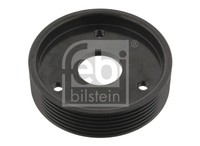 Febi Bilstein 29501 Riemenscheibe, Servopumpe FüR Renault