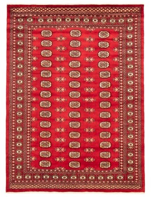 Traditional Hand Knotted Oriental Area Rug 6'1'' x 8'2'' Wool Carpet