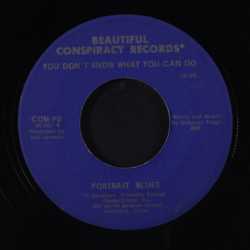 PORTRAIT BLUES: you don't know what you can do / gray day 7