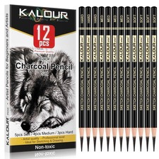 KALOUR Professional Charcoal Pencils Drawing Set 1 Count Pack of 12 , Black