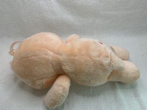 De colección Kenner Care Bear- Friend Bear 1983 Peluche 13” Insignia Flores Amarillas *Imprescindible Ver* - Imagen 5 de 9