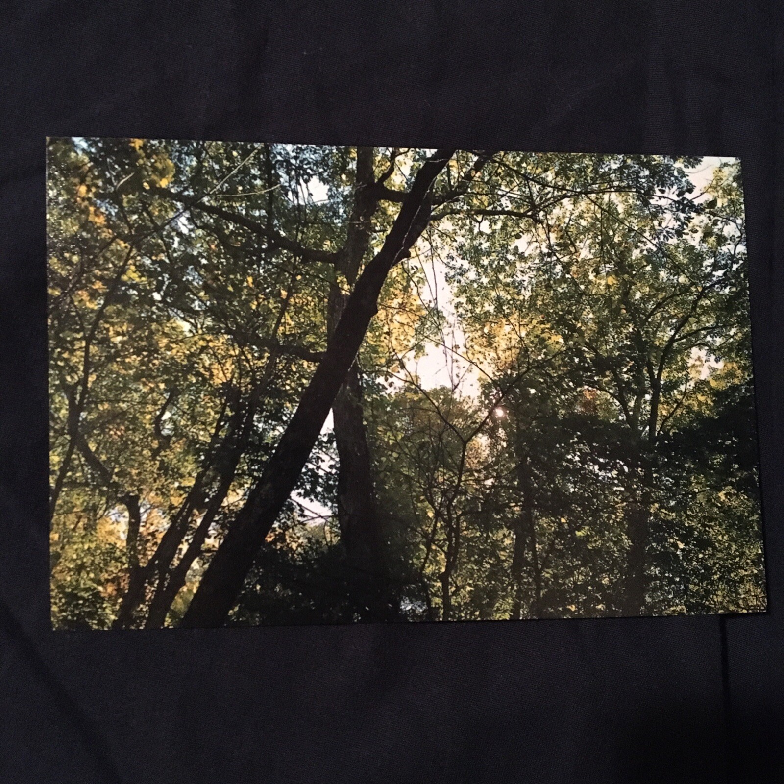 Picture 3 of 3