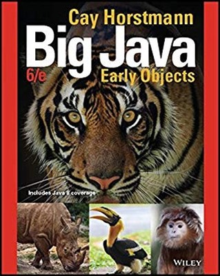 Big Java : Early Objects Ringbound Cay S. Horstmann