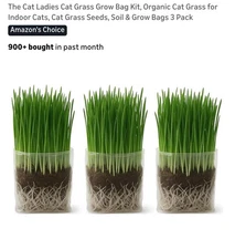 The Cat Ladies Cat Grass Grow Bag Kit, Organic Cat Grass for Indoor Cats, 3 Pack