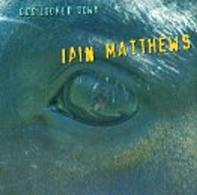 Matthews, Iain - God Looked Down