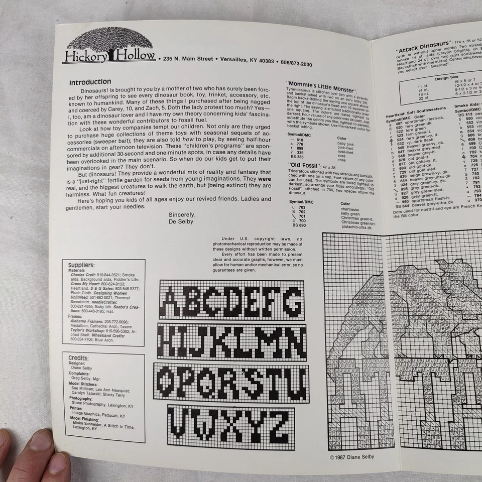 1987 Vtg Dinosaurs Needlepoint Cross Stitch Designs & Patterns Hickory Hollow - Image 3 of 4
