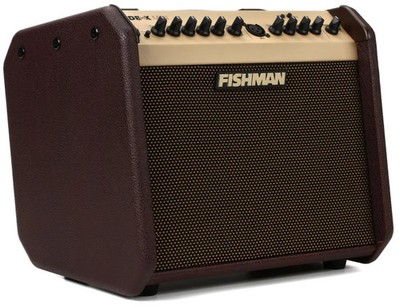 Fishman Loudbox Mini BT 60-watt 1x6.5'' Acoustic Combo Amp